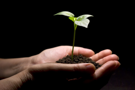 Growing in Knowledge and Insight